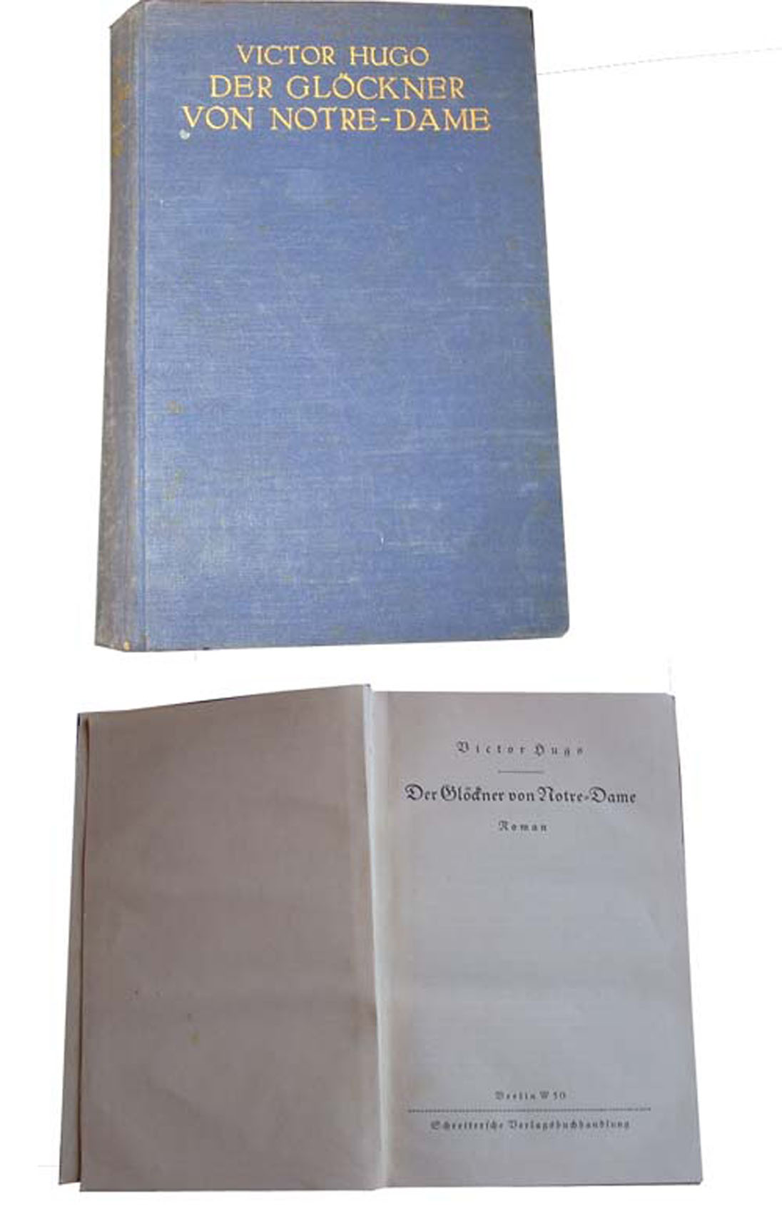 Victor Hugo - Der Glöckner von Notre Dame