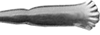 Wellner 285