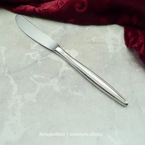 BSF 108 Rhapsody Tafelmesser BSF Inox 22,1cm 90 versilbert