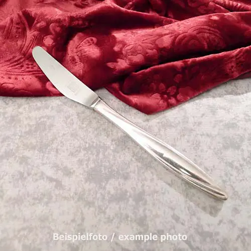 Bruckmann 763 Princess Tafelmesser 20,8cm 90 versilbert