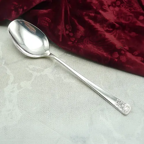 Bruckmann 771 Petite Fleur Gemüselöffel 90 versilbert Bruckmann 771 Petite Fleur Gemüselöffel 90 versilbert