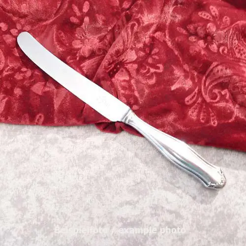 WMF 1700 Tafelmesser 25,6cm WMF Nirosta 90 versilbert
