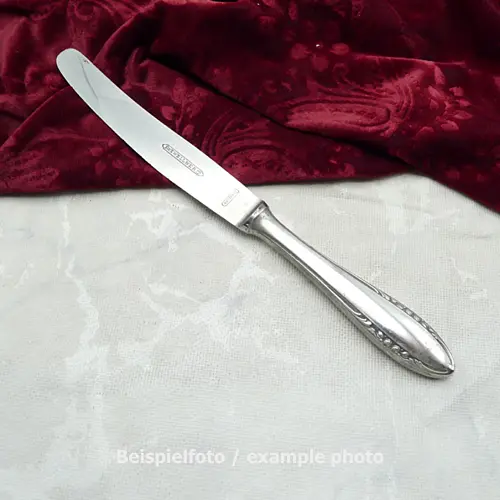 Wellner 391 Tafelmesser 25,5cm 90 versilbert rostfrei